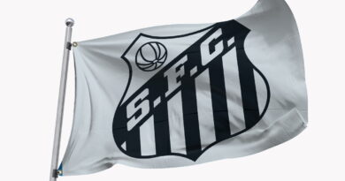 bandeira do Santos