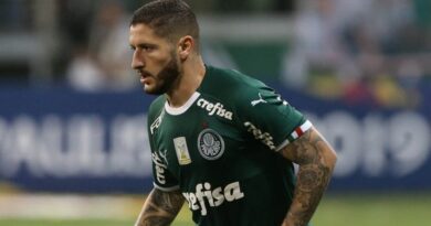 zé rafael palmeiras