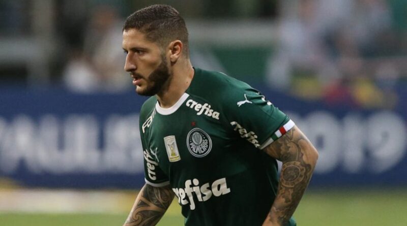 zé rafael palmeiras