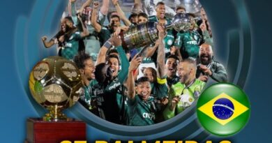 palmeiras