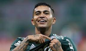 Palmeiras dudu